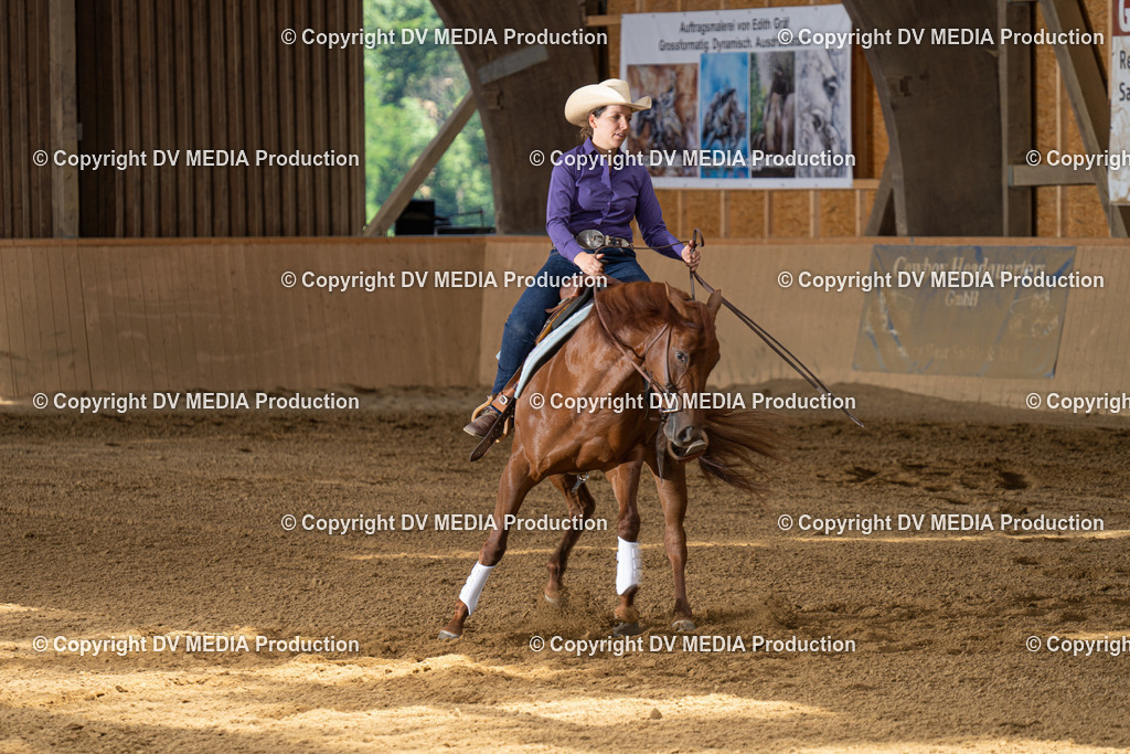 DSC00021 | dv-media-shop - Realisiert mit Pictrs.com