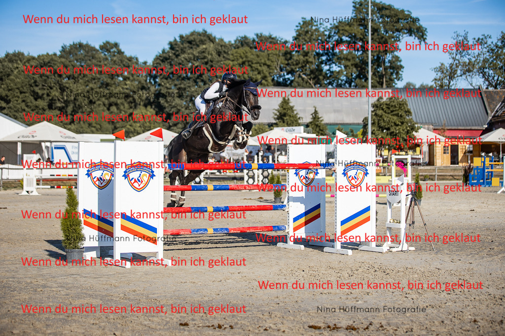 BK1A8736 | Turnierbilder Turnierfotos Nina Hüffmann Turnierfotografie Pferdefotografie Tierzeichnung Haustierzeichnung Pferdezeichnung Hundezeichnung Videograf  - Realisiert mit Pictrs.com
