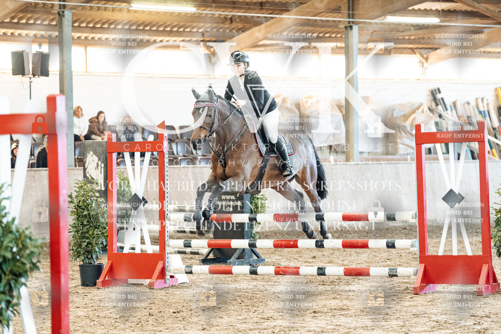 CK904394 | Turnierfotografie Pferdefotografie Trier Rheinland-Pfalz Pferdesport Reitsport Tierfotografie Sportfotografie Pferdevideo Pferdevideografie Equestrianvideography equestrianphotography  - Realized with Pictrs.com