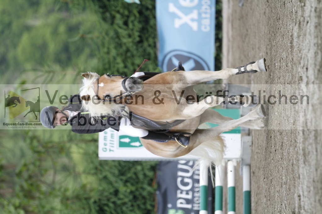 _MG_4462 | equestrian-live-com