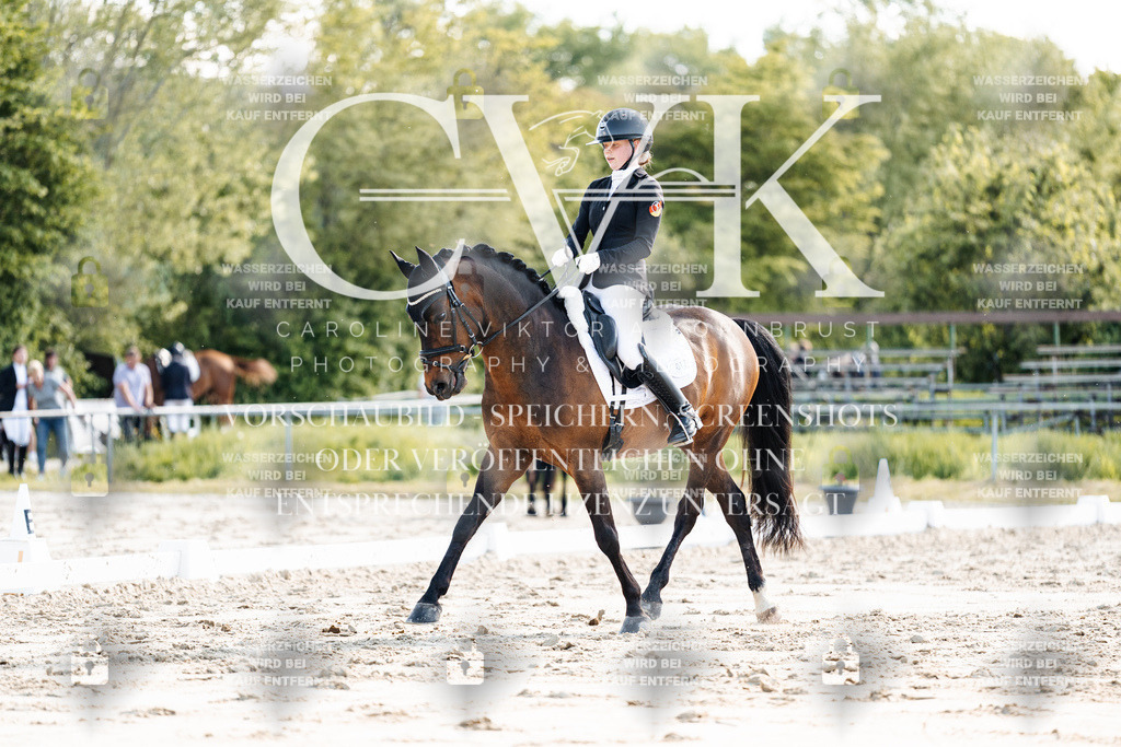 CK909534 | Turnierfotografie Pferdefotografie Trier Rheinland-Pfalz Pferdesport Reitsport Tierfotografie Sportfotografie Pferdevideo Pferdevideografie Equestrianvideography equestrianphotography  - Realisiert mit Pictrs.com