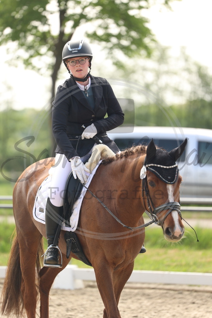 994A6412 | sabrinanicolaifotografie - Realisiert mit Pictrs.com