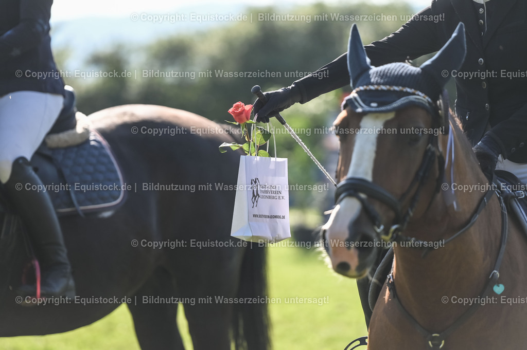 20230909_12_Stilspringen_A_0243 | equistock