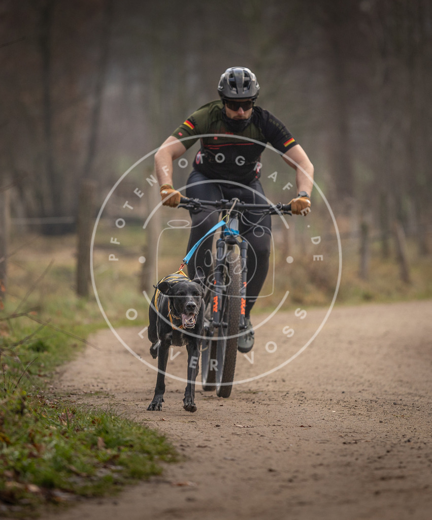Pfotenfotografie_DV3A1684 | Hundefotografie, Tierfotograf, Pfotenfotografie, Fotoshooting Hund, Hunde Portrait, Hundesport, Hundeportraits, Heideshooting, Hunde, Sportfotograf, Hundefotograf, Turnierhundsport, THS,  - Realisiert mit Pictrs.com