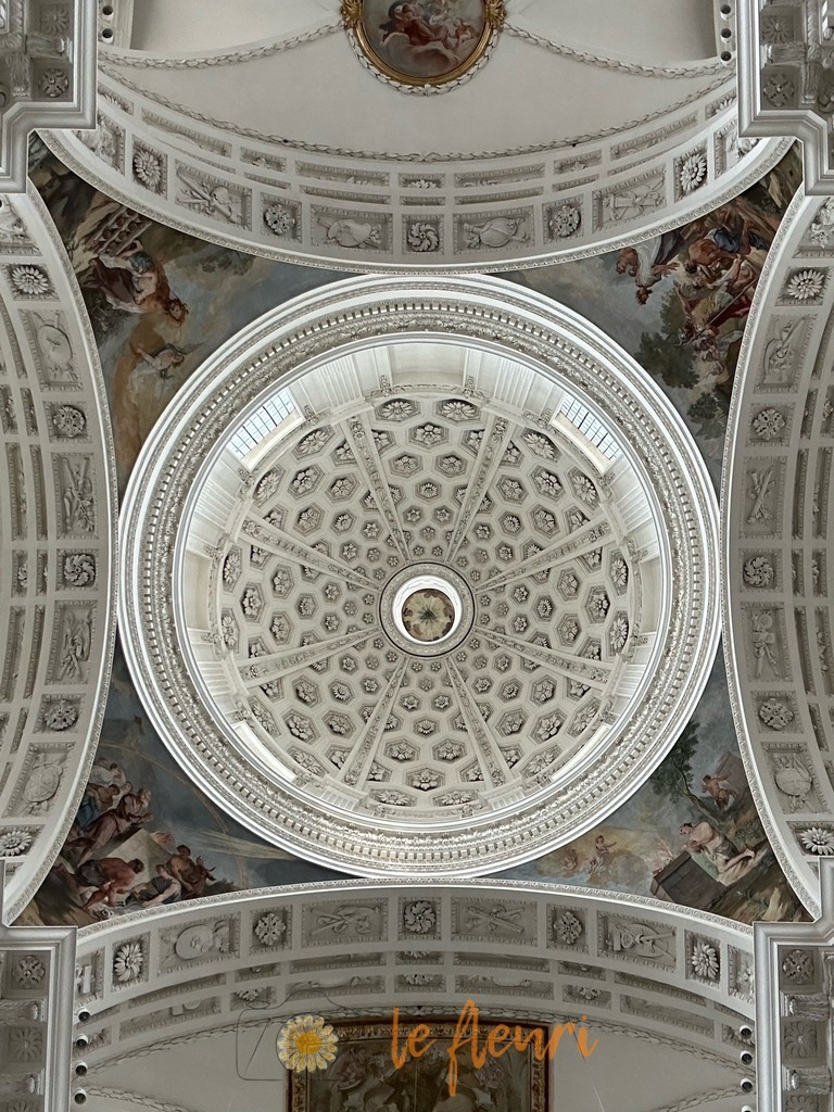 91B8E47A-CCA9-4C64-B9D1-F2D2C5199B5E | Dies ist der Shop von Florian Blum - le fleuri. Langenthal, Bern, SchweizSie können hier meine oder ihre eigenen Fotos als Fotoprodukte kaufen. Tassen, Schlüsselanhänger, Taschen etc. können Sie hier gestalten.  - Realisiert mit Pictrs.com