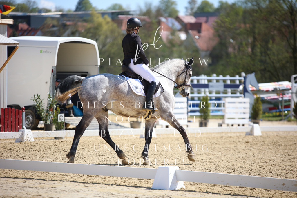 IMGT1588 | pl-fotografie