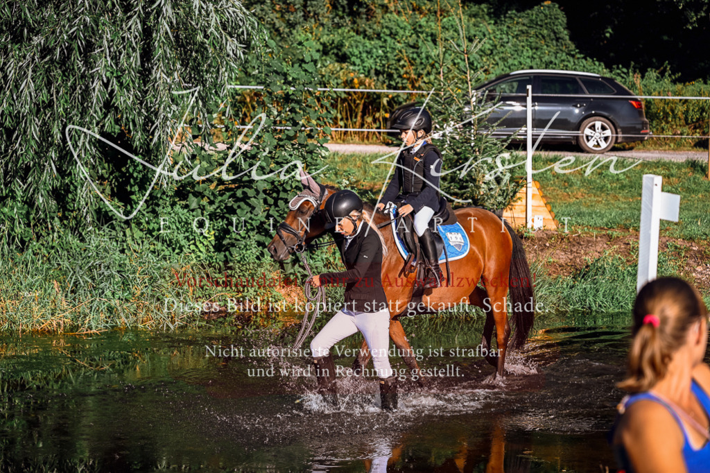 DSC_0227 | Pferde- und Turnierfotografie in Westsachsen. Pferdeportraits, Auftragszeichnungen und intuitive Kunst.