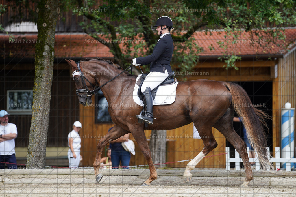 20230826-FAH05552 | Forstinning, 2023, Dressurturnier, Turniersportbilder, Turnierfotografen Bayern, Fotoagentur Herrmann, Reitsportfotografie, Turnierbilder