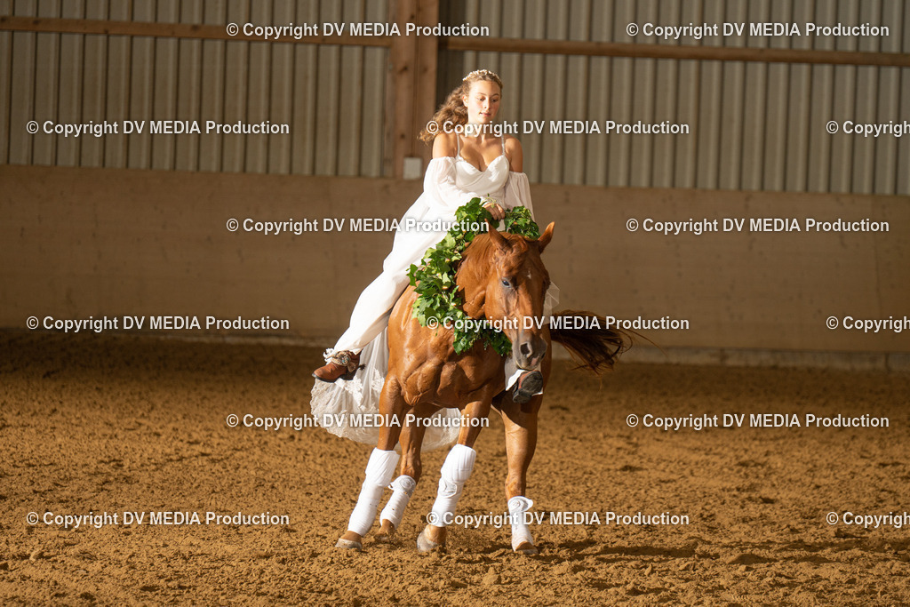 LAU01191 | dv-media-shop - Realisiert mit Pictrs.com