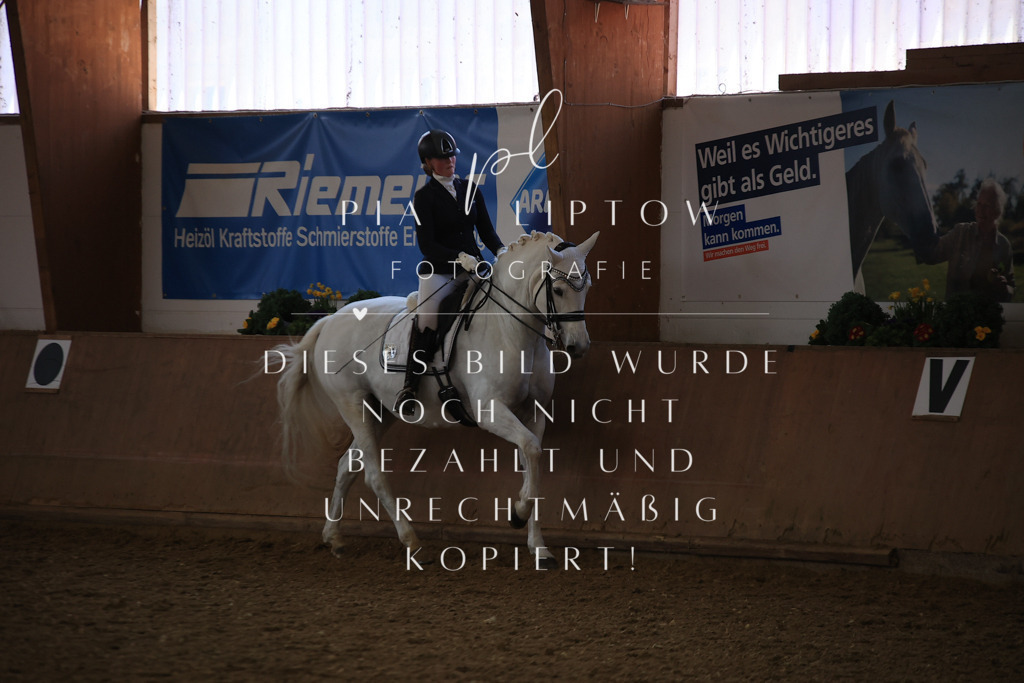 IMGT3683 | pl-fotografie