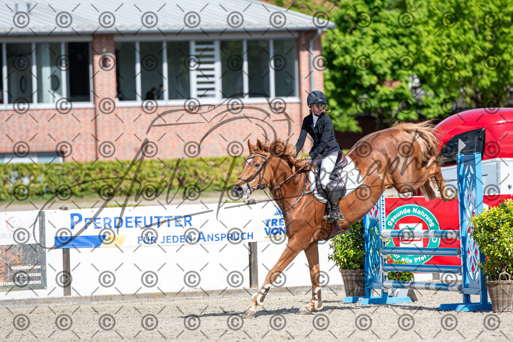 KPT_4911 | andre_photographic