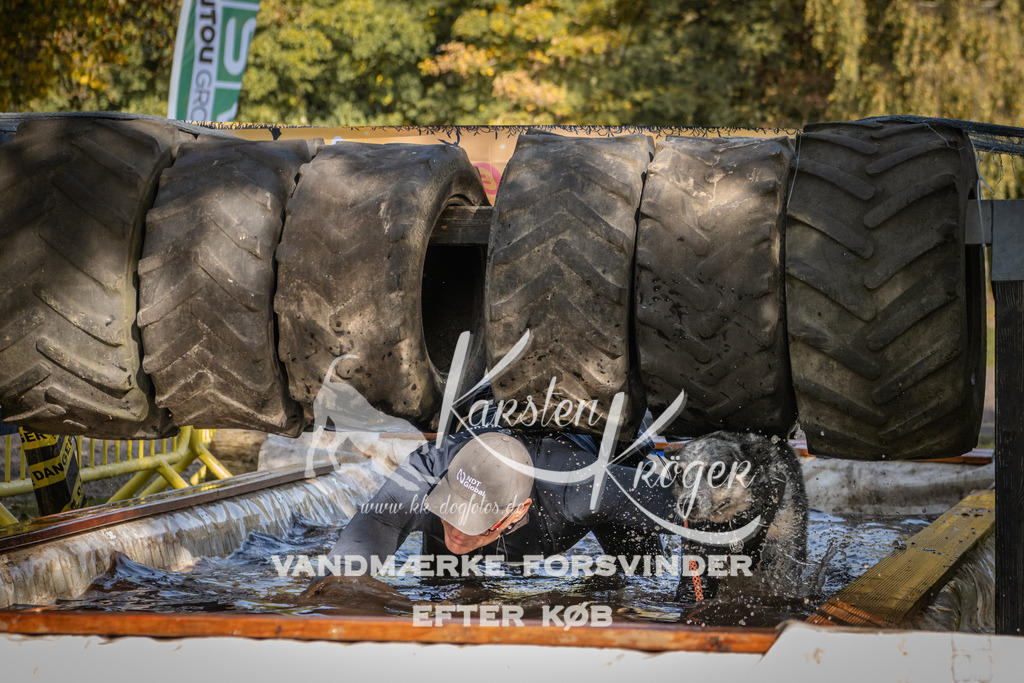 1153_ZZ93738 | kk-dogfotos