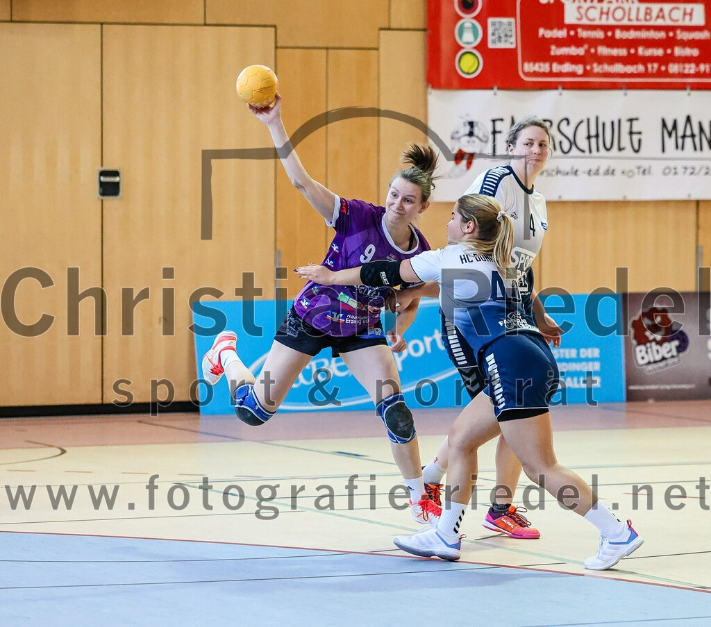 2023-12-16_051_SpVgg_Altenerding_gegen_HC_Donau-Paar_II | Erding, Deutschland, 16.12.2023:
Handball, Bezirksoberliga Frauen Altbayern 2023 / 2024, 10. Spieltag, SpVgg Altenerding gegen HC Donau/Paar II, Endergebnis: 22:22

Foto: Christian Riedel / fotografie-riedel.net