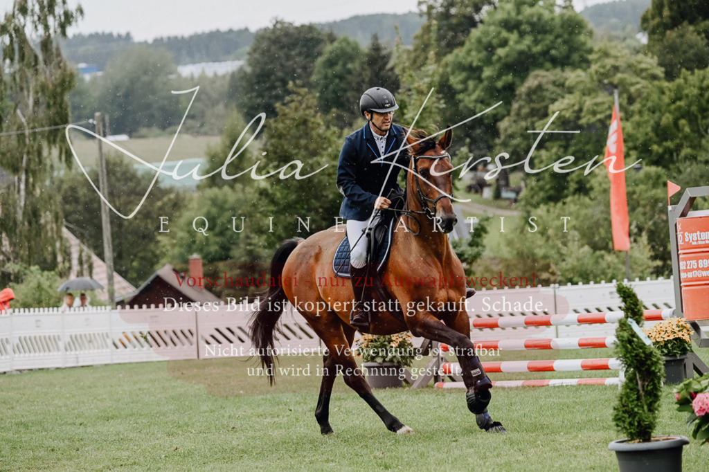 DSC_6994 | Pferde- und Turnierfotografie in Westsachsen. Pferdeportraits, Auftragszeichnungen und intuitive Kunst.