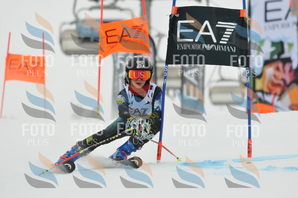 DSC_8211 | holidayphoto