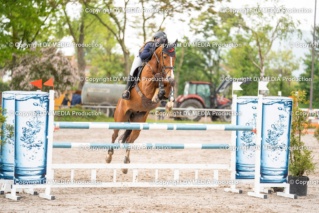 Eppelheim Tag 3-67 | dv-media-shop - Realisiert mit Pictrs.com