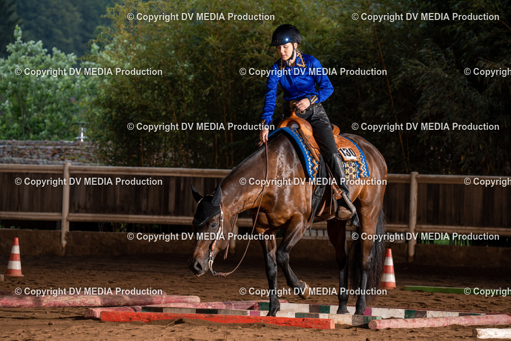 Erbach Tag 3-26 | dv-media-shop - Realisiert mit Pictrs.com