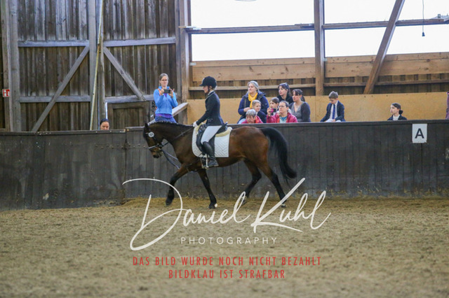 IMG_1641 | Turniersportfotografie; Pferdefotografie; Dressurfotografie