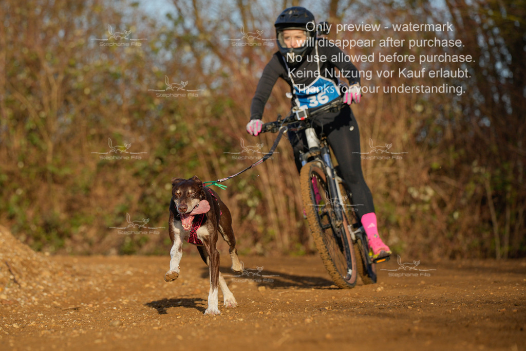 So_DVGBSP2025_Bike (316 von 358) | stephaniefillaphotographie - Realisiert mit Pictrs.com