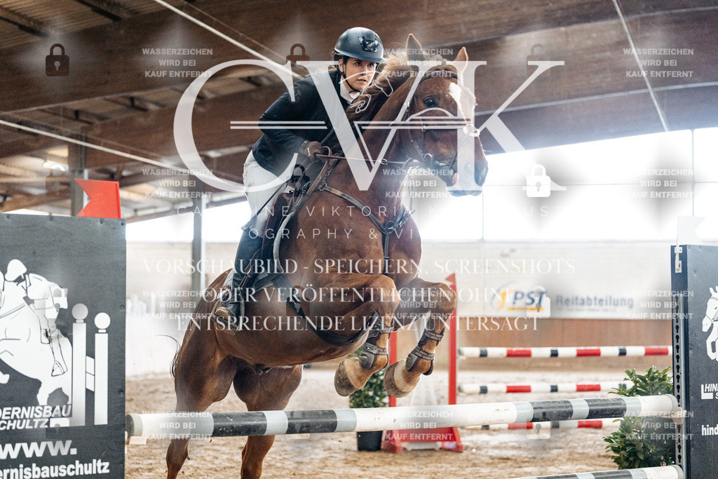 CK906158 | Turnierfotografie Pferdefotografie Trier Rheinland-Pfalz Pferdesport Reitsport Tierfotografie Sportfotografie Pferdevideo Pferdevideografie Equestrianvideography equestrianphotography  - Realisiert mit Pictrs.com