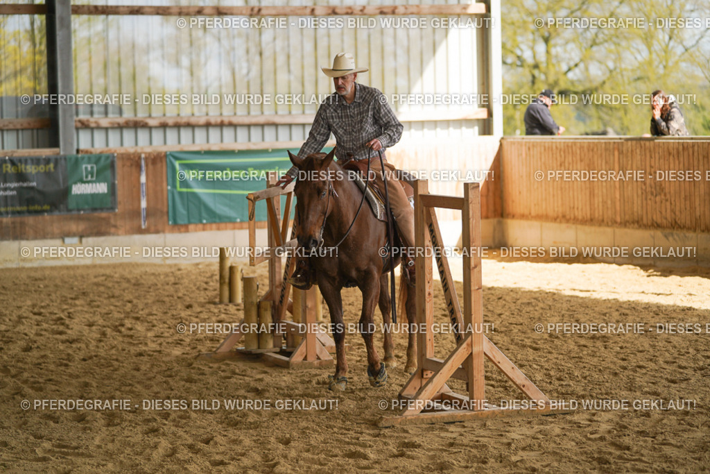 DSC02191 | Pferdegrafie