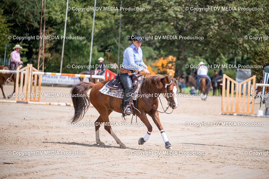 ZS3_5248 | dv-media-shop - Realisiert mit Pictrs.com