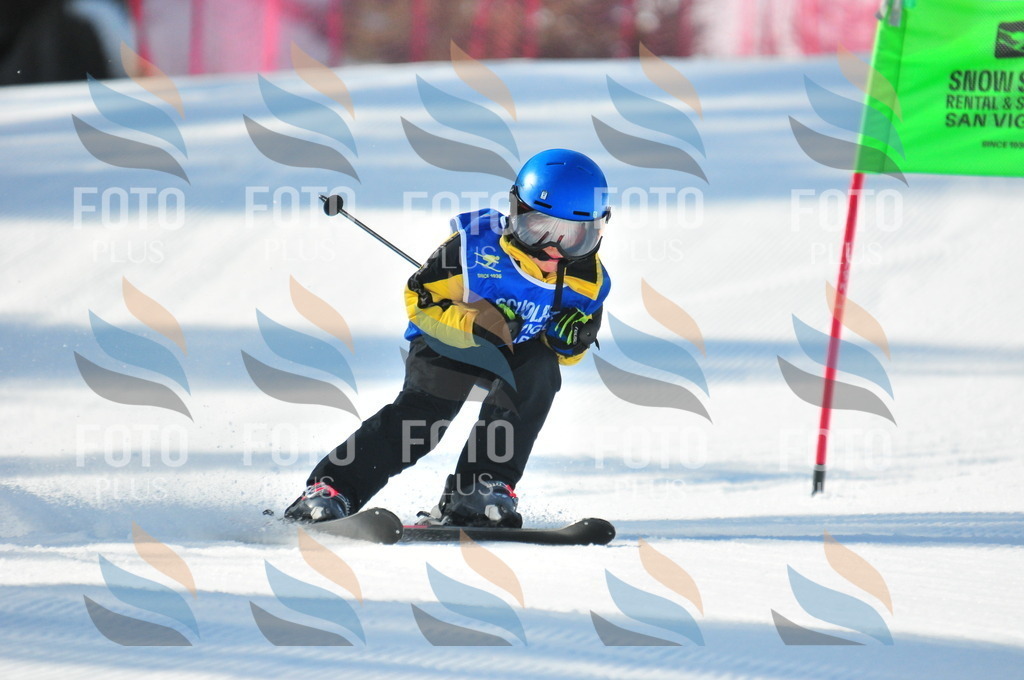 B9036 | holidayphoto