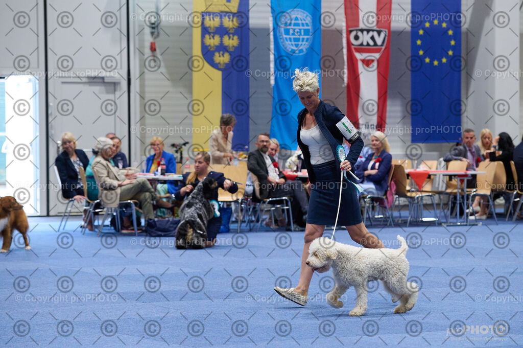 202406_ÖKV-IHA-Tulln24_DSC_3187 | proPHOTO - Realisiert mit Pictrs.com