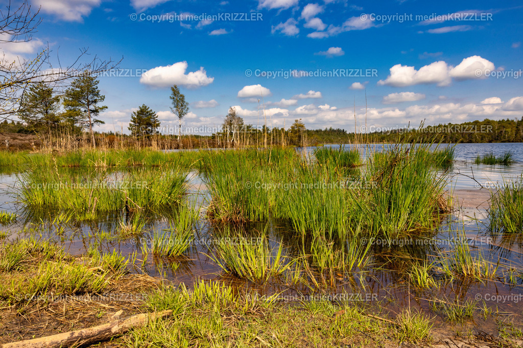 Schönramer Filz | medienkrizzler - Realisiert mit Pictrs.com