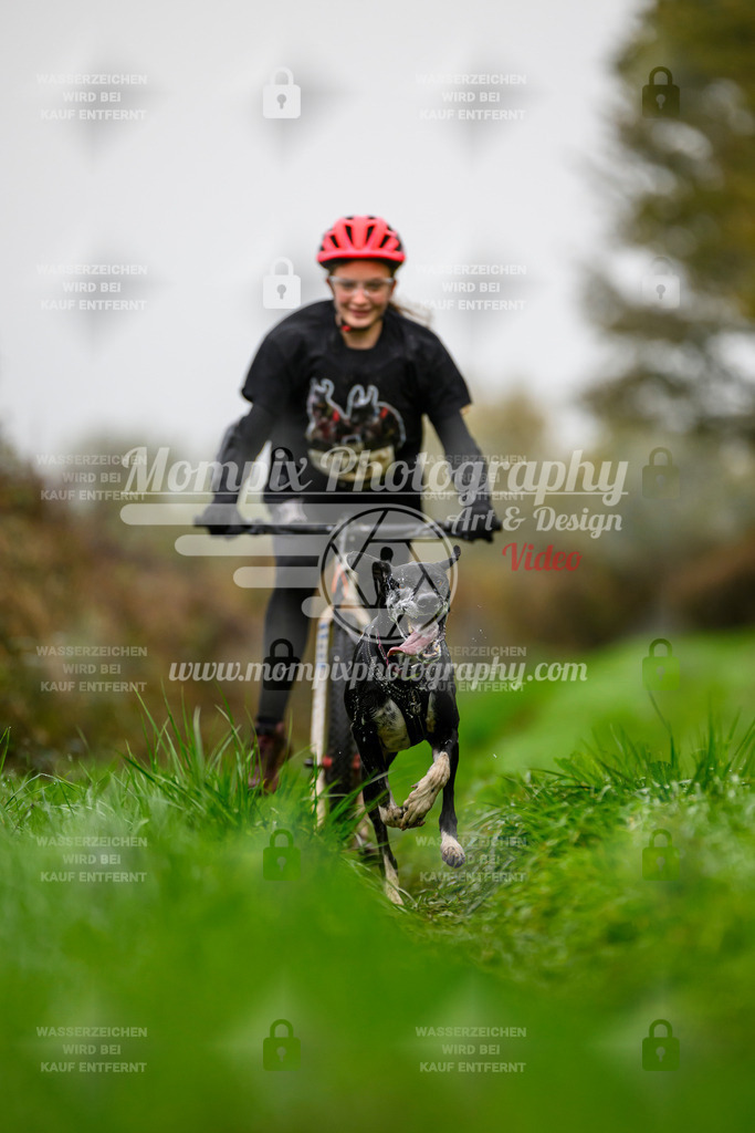 MompixPhotography_20TSB_E8_DS1-34 | PayLife