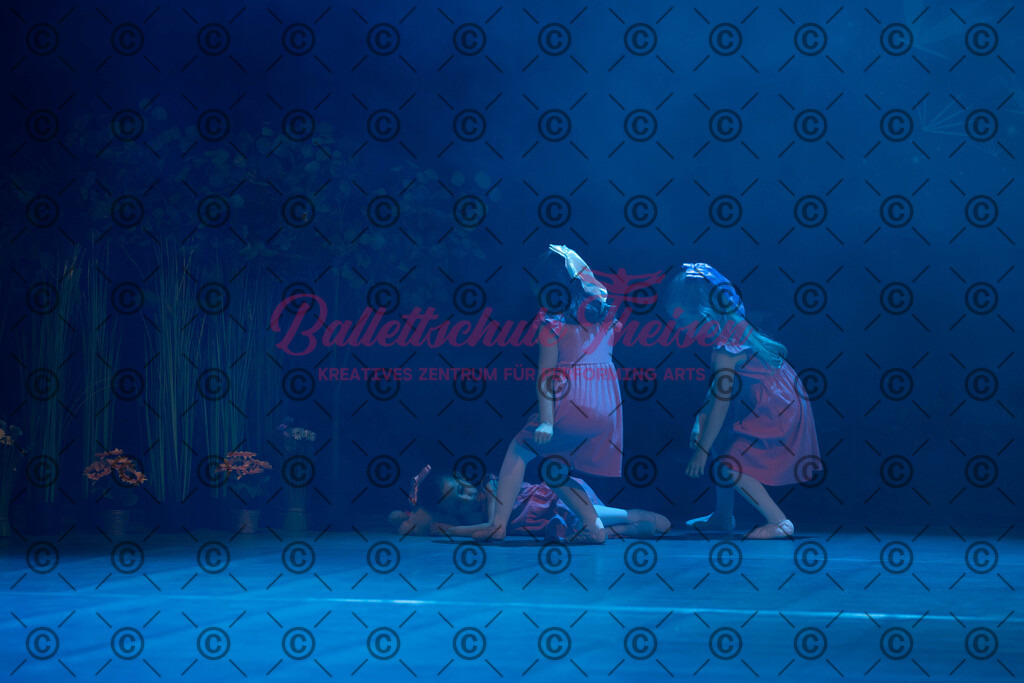 Ballettaufführung-1164 | Bildershop Lem'n Entertainment - Realisiert mit Pictrs.com