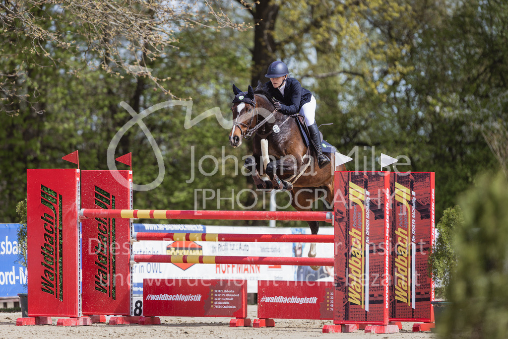 230501_SpengeW_M2St-214 | Deine schönsten Turniermomente als professionelle Fotos! Entdecke hochwertige Pferdesport-Fotografie im Online-Shop. Jetzt Fotos finden & bestellen!