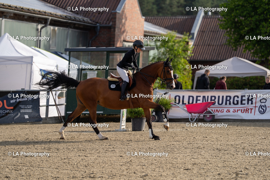 DSC04044 | Entdecke einzigartige Turnierfotos und persönliche Pferde- und Hundeportraits bei LA Photography. Für jeden Reiter und Pferd das perfekte Bild! Stöbere jetzt! - Realisiert mit Pictrs.com