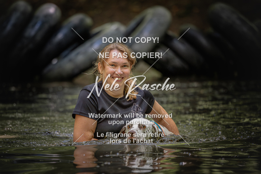 nelerasche_SaWingst1400-1500_446 | nelerasche