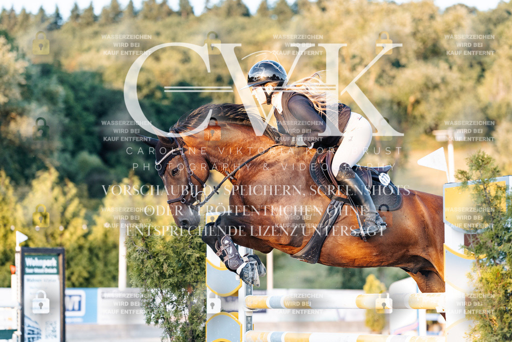 CK901173 | Turnierfotografie Pferdefotografie Trier Rheinland-Pfalz Pferdesport Reitsport Tierfotografie Sportfotografie Pferdevideo Pferdevideografie Equestrianvideography equestrianphotography  - Realisiert mit Pictrs.com