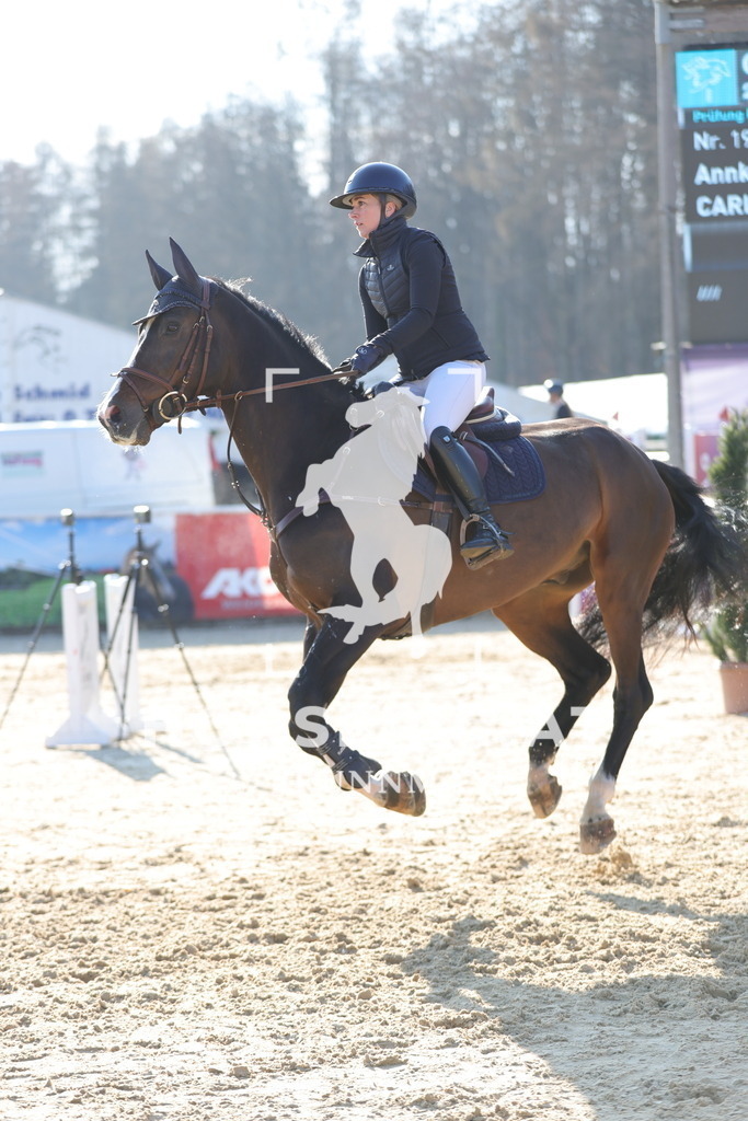 0P6A9210 | Willkommen bei Brunnmayr - Design & Fotografie – Ihrem Spezialisten für Reitturniere und Pferdeveranstaltungen in Oberösterreich, Salzburg und Bayern! Seit über 17 Jahren sind wir leidenschaftlich dabei.
