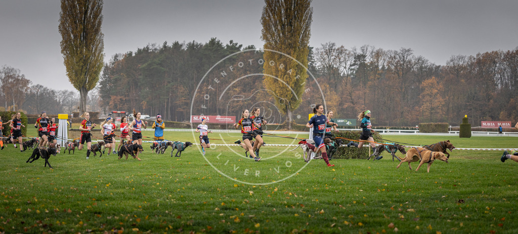CaniXpix_DV3A8778 | Hundefotografie, Tierfotograf, Pfotenfotografie, Fotoshooting Hund, Hunde Portrait, Hundesport, Hundeportraits, Heideshooting, Hunde, Sportfotograf, Hundefotograf, Turnierhundsport, THS,  - Realisiert mit Pictrs.com