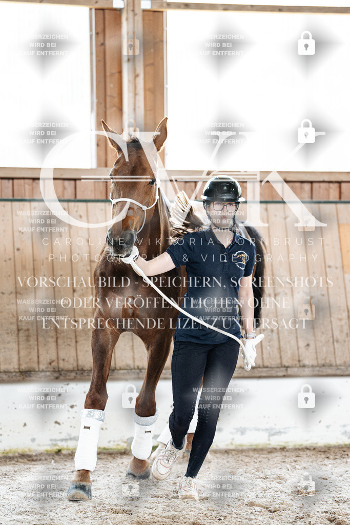 CK908278 | Turnierfotografie Pferdefotografie Trier Rheinland-Pfalz Pferdesport Reitsport Tierfotografie Sportfotografie Pferdevideo Pferdevideografie Equestrianvideography equestrianphotography  - Realisiert mit Pictrs.com