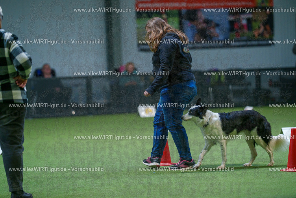 7R501397 | Professionelle Tierfotografie in Mönchengladbach von Daniel Wirth (allesWIRTHgut). Liebevolle & natürliche Bilder von Hunden & Katzen für unvergessliche Erinnerungen.