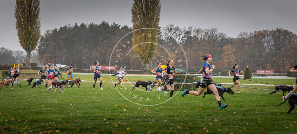 CaniXpix_DV3A8762 | Hundefotografie, Tierfotograf, Pfotenfotografie, Fotoshooting Hund, Hunde Portrait, Hundesport, Hundeportraits, Heideshooting, Hunde, Sportfotograf, Hundefotograf, Turnierhundsport, THS,  - Realisiert mit Pictrs.com