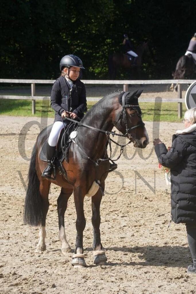 rveinoedsonntag (704) | d.tail Visions - Shop - Realisiert mit Pictrs.com