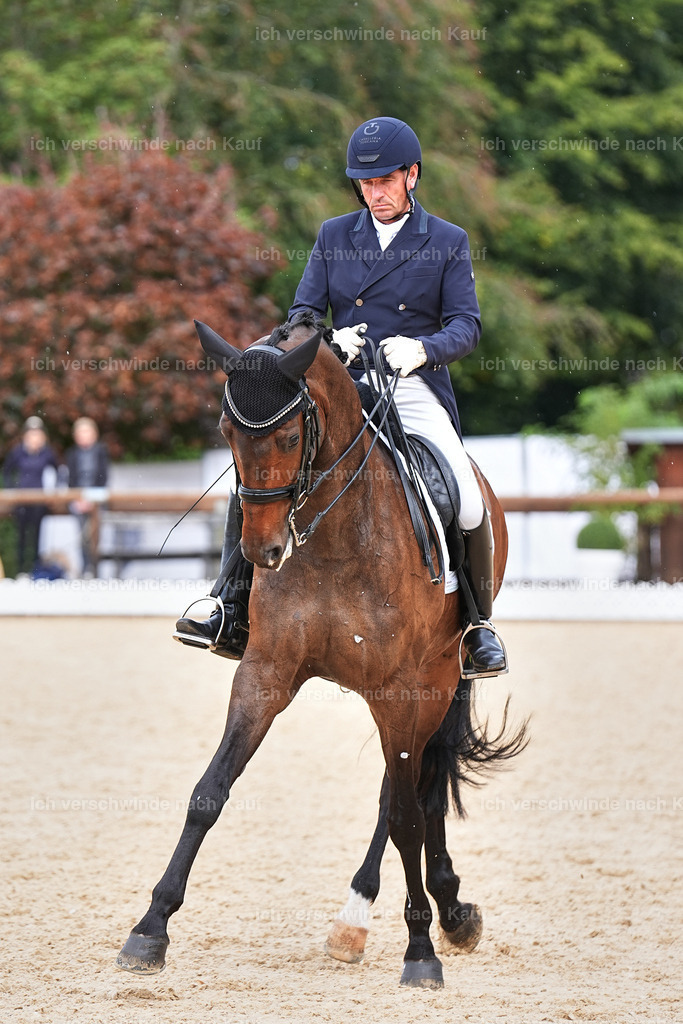 11-226-Dressur S___-Marixx-1738 | working equitationturnier fotograf videograf stoibphotography marixx film working equitation deutschland reitsport turnierfotografie eventfotografie equestrian events
