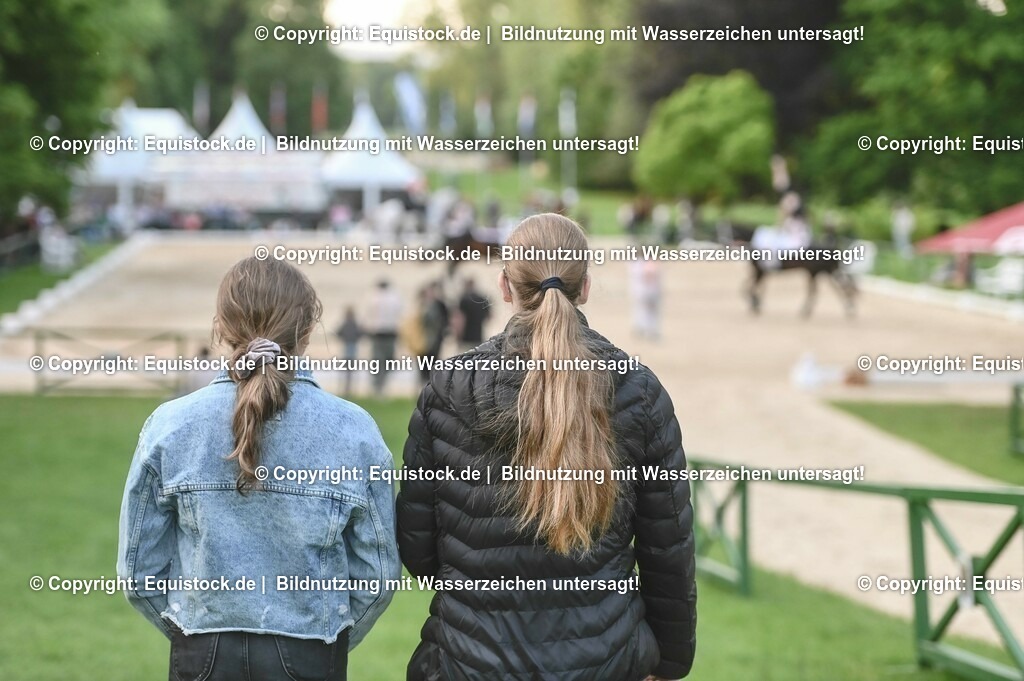 D78_3372 | equistock