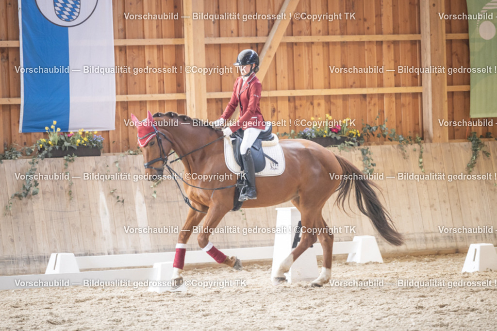 _D5A5572 | Emotionale Pferde- & People-Fotografie rund um Heidelberg, Leimen & Umgebung. Natürliche Fotos von Pferd, Mensch & Familie. Jetzt Termin sichern!