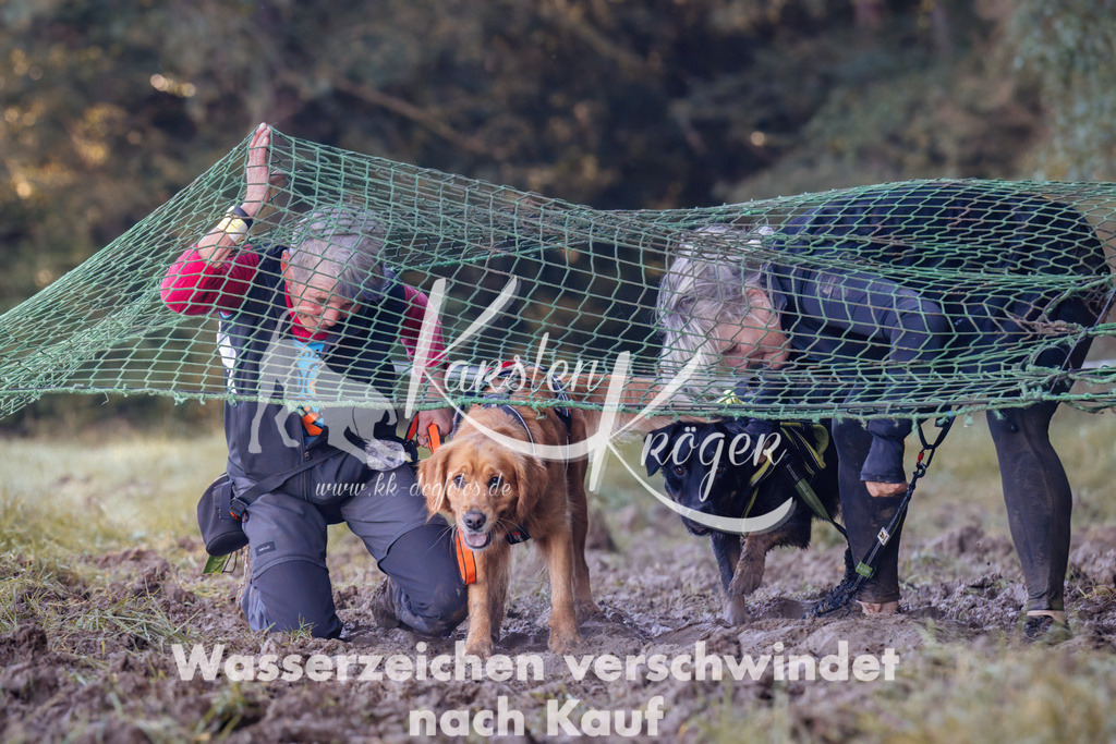 1049_ZZ92773 | kk-dogfotos