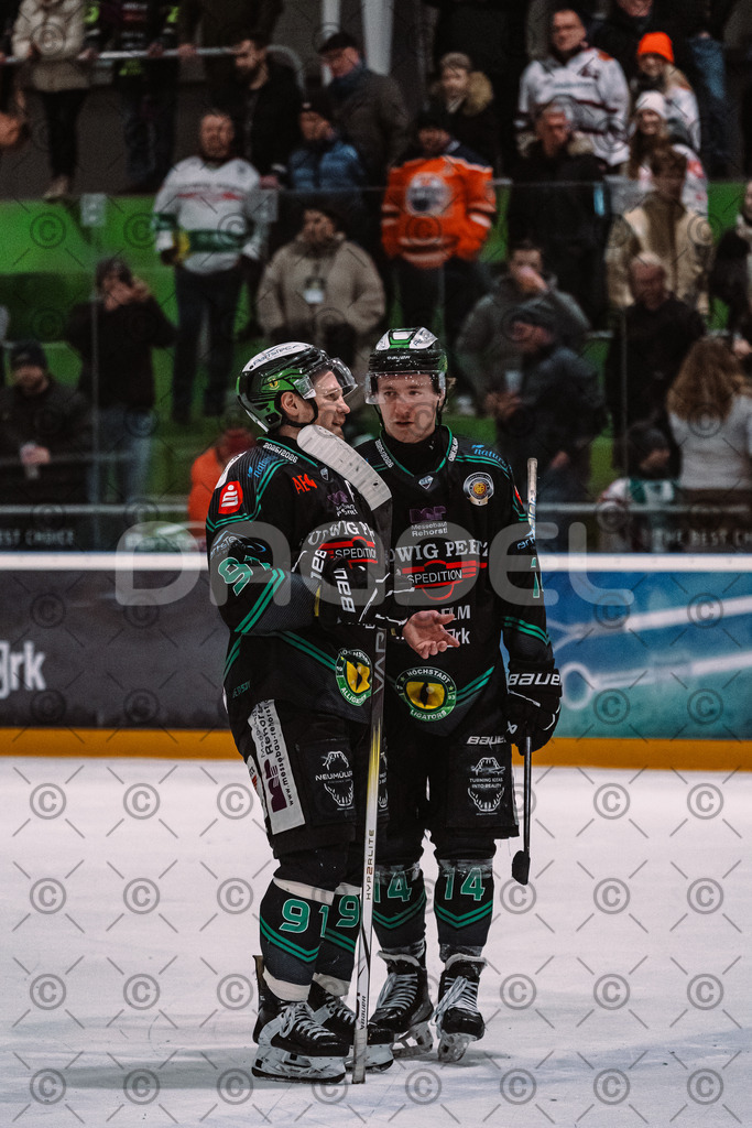 Alligators_vs_Erding_01_02_2026-79 | Höchstadt Alligators Fotogalerie: Eishockey-Action aus Franken. Professionelle Spielfotos, Portraits & Stadionbilder zum Download. Jetzt entdecken! - Realisiert mit Pictrs.com
