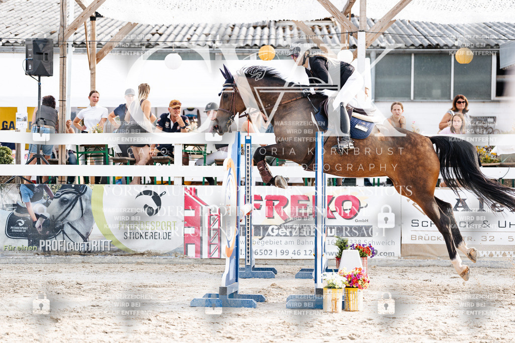 CK907085 | Turnierfotografie Pferdefotografie Trier Rheinland-Pfalz Pferdesport Reitsport Tierfotografie Sportfotografie Pferdevideo Pferdevideografie Equestrianvideography equestrianphotography  - Realisiert mit Pictrs.com