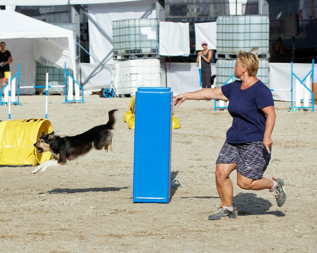 580B0059 | Peter Fridle Fotografie - Realisiert mit Pictrs.com