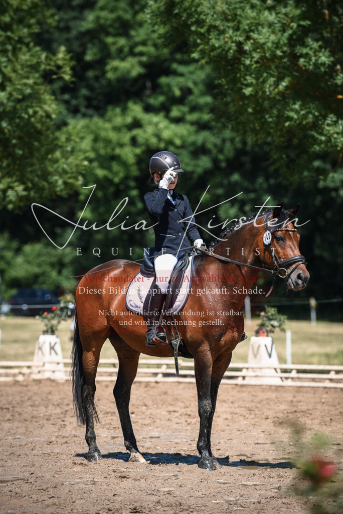 DSC_2856 | Pferde- und Turnierfotografie in Westsachsen. Pferdeportraits, Auftragszeichnungen und intuitive Kunst.
