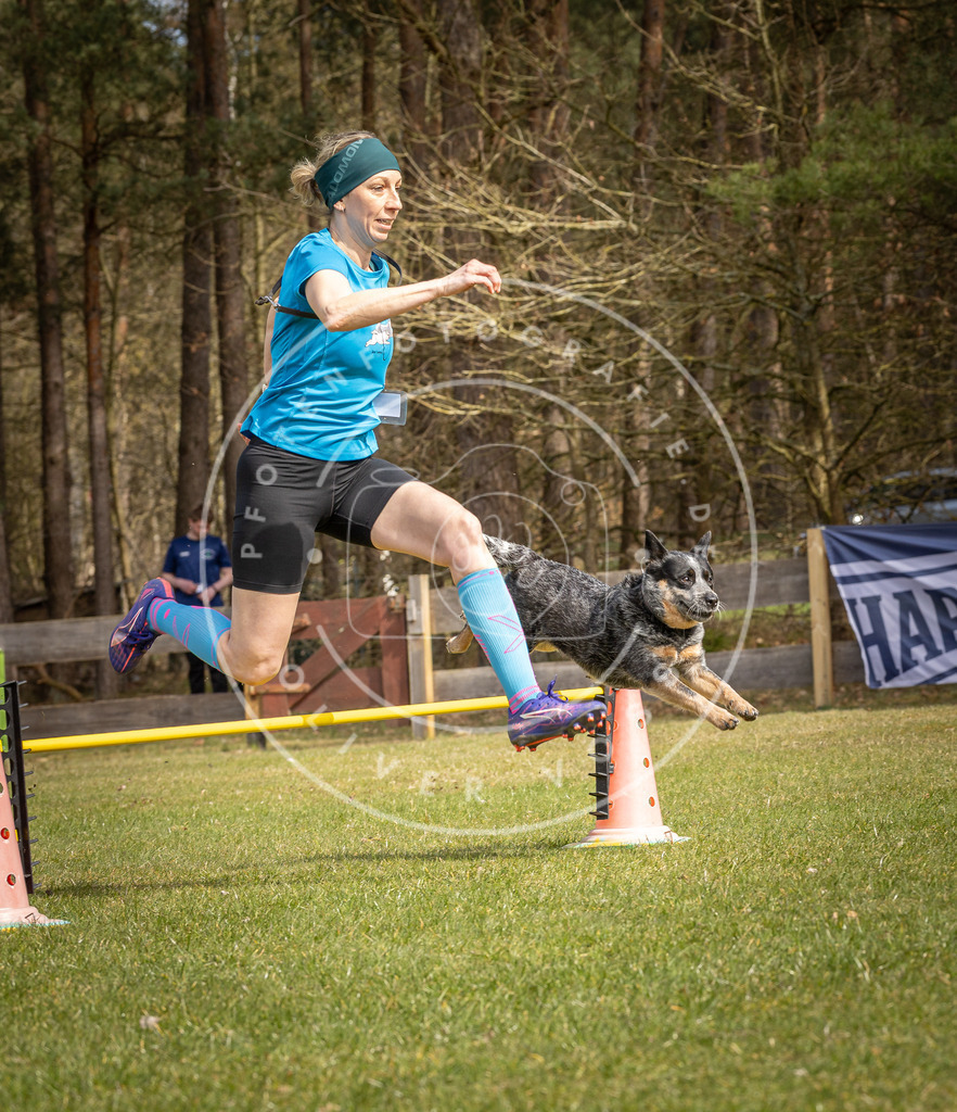 Pfotenfotografie_DV3A6530 | Hundefotografie, Tierfotograf, Pfotenfotografie, Fotoshooting Hund, Hunde Portrait, Hundesport, Hundeportraits, Heideshooting, Hunde, Sportfotograf, Hundefotograf, Turnierhundsport, THS,  - Realisiert mit Pictrs.com